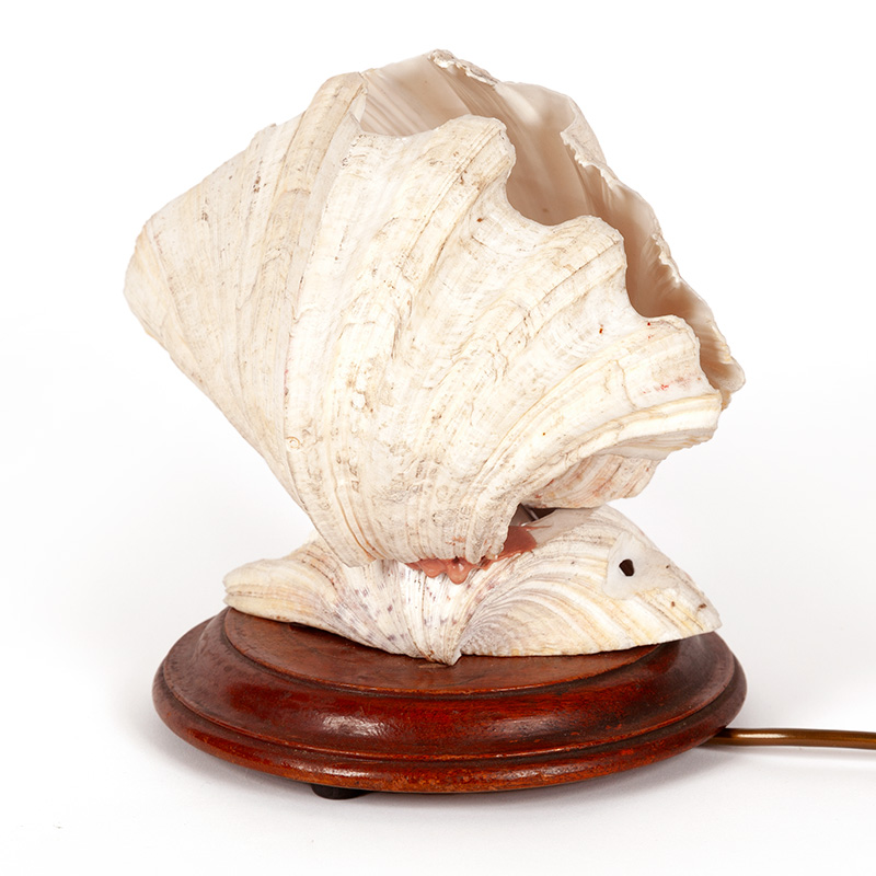 Large Art Deco Double Shell Scallop Table Lamp