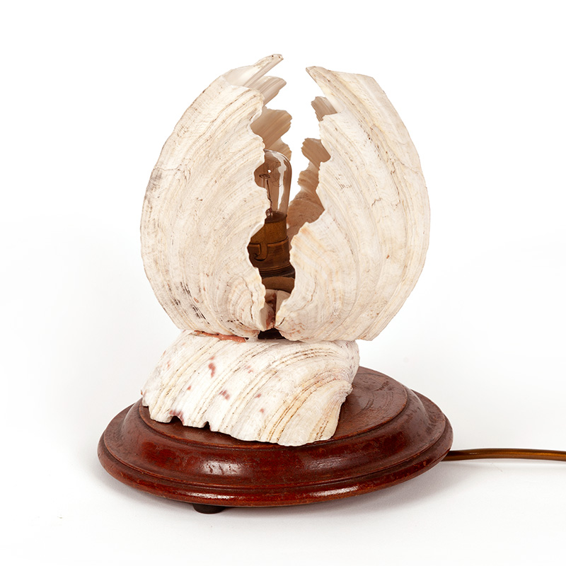 Large Art Deco Double Shell Scallop Table Lamp